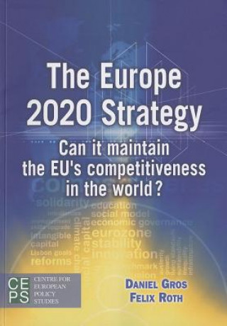 Kniha Europe 2020 Strategy Felix Roth