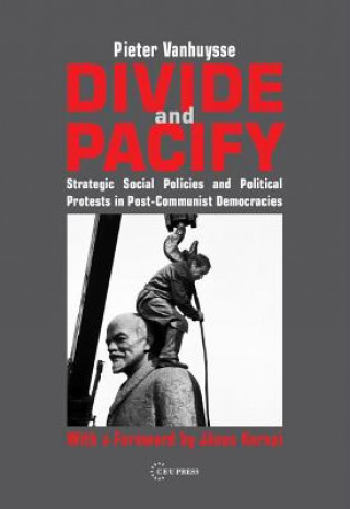 Boek Divide and Pacify Pieter Vanhuysse