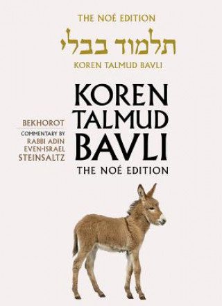 Kniha Koren Talmud Bavli Adin Steinsaltz