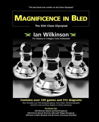 Kniha Magnificence In Bled Ian Wilkinson