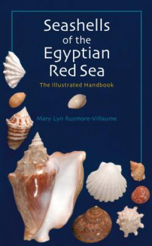 Book Seashells of the Egyptian Red Sea Mary Lyn Rusmore-Villaume