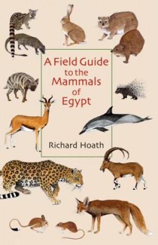 Книга Field Guide to the Mammals of Egypt Richard Hoath