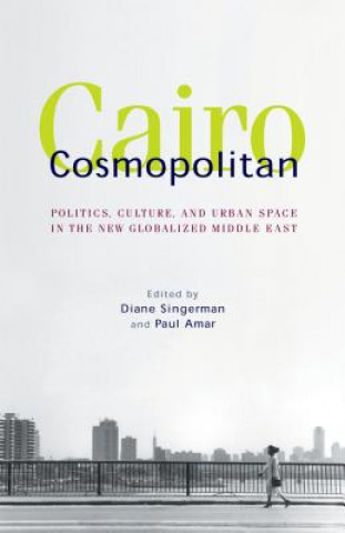 Carte Cairo Cosmopolitan Diane Singerman