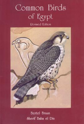 Книга Common Birds of Egypt Bertel Bruun