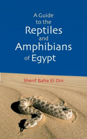 Könyv Guide to the Reptiles and Amphibians of Egypt Sherif Baha El Din