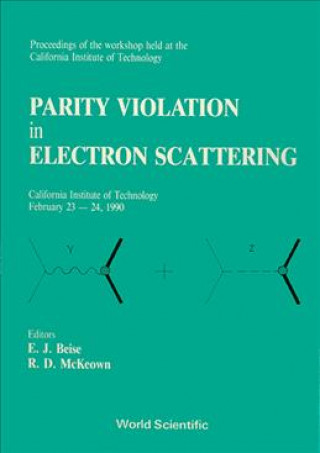 Kniha Parity Violation in Electron Scattering E. J. Beise