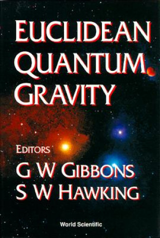 Książka Euclidean Quantum Gravity G W Gibbons
