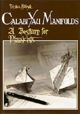 Книга Calabi-yau Manifolds: A Bestiary For Physicists T. Hubsch