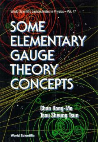 Kniha Some Elementary Gauge Theory Concepts H.M. Chan