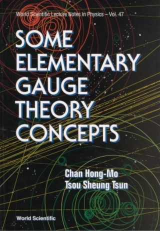 Kniha Some Elementary Gauge Theory Concepts H.M. Chan