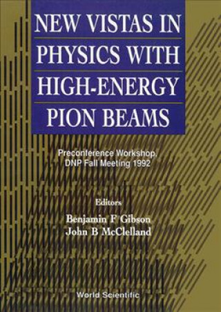 Könyv New Vistas in Physics with High-energy Pion Beams John B. McClelland