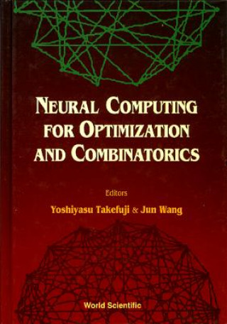 Book Neural Computing For Optimization And Combinatorics 