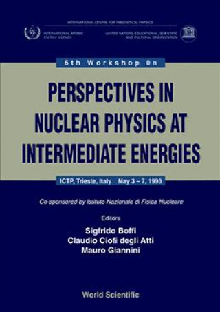 Kniha Perspectives in Nuclear Physics at Intermediate Energies Sigfrido Boffi