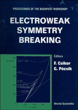 Kniha Electroweak Symmetry Breaking Ferenc Csikor