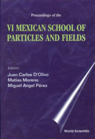 Kniha Particles and Fields Juan Carlos D'Olivo