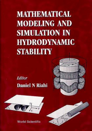 Knjiga Mathematical Modeling And Simulation In Hydrodynamic Stability RIAHI D N