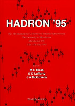 Buch Hadron 95 Michael C. Birse