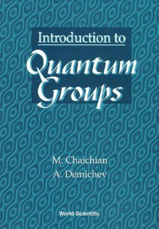 Carte Introduction To Quantum Groups Masud Chaichian