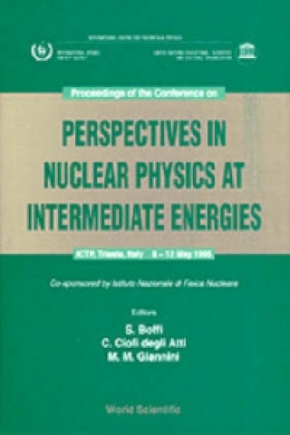 Kniha Perspectives in Nuclear Physics at Intermediate Energies Sigfrido Boffi