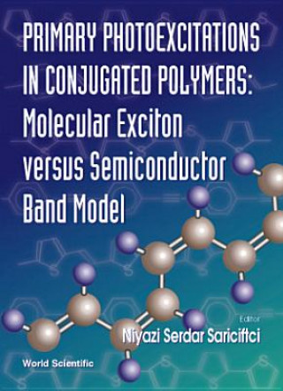 Libro Primary Photoexcitations in Conjugated Polymers N. Serdar Sariciftci