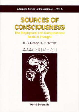 Kniha Sources Of Consciousness: The Biophysical And Computational Basis Of Thought Herbert S. Green