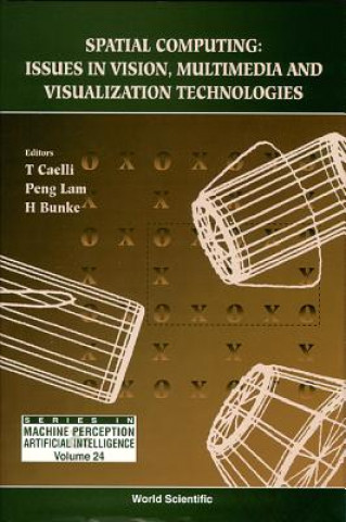 Carte Spatial Computing: Issues In Vision, Multimedia And Visualization Technologies 
