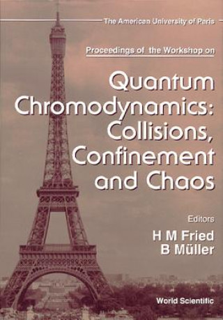 Könyv Quantum Chromodynamics: Collisions, Confinement and Chaos Herbert Martin Fried