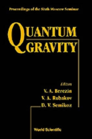 Könyv Quantum Gravity V. A. Berezin