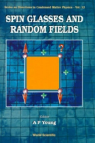 Buch Spin Glasses And Random Fields 