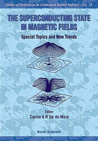 Knjiga Superconducting State In Magnetic Fields, The: Special Topics And New Trends 