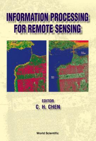 Buch Information Processing For Remote Sensing 