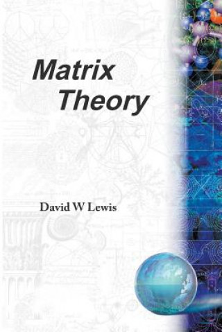 Buch Matrix Theory David Lewis