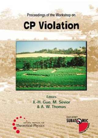 Book Cp Violation - Proceedings Of The Workshop Anthony W. Thomas