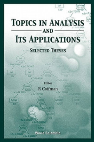 Könyv Topics In Analysis And Its Applications, Selected Theses 