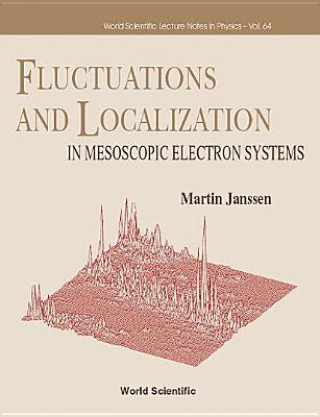 Libro Fluctuations And Localization In Mesoscopic Electron Systems Martin Janssen