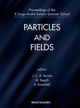 Carte Particles And Fields - Proceedings Of The X Jorge Andre Swieca Summer School 