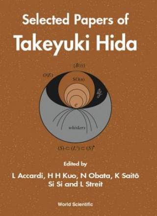 Książka Selected Papers Of Takeyuki Hida 