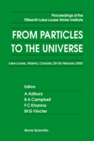 Kniha From Particles To The Universe - Proceedings Of The Fifteenth Lake Louise Winter Institute 