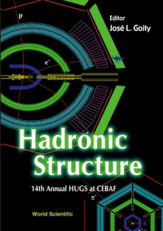 Kniha Hadronic Structure - Proceedings Of The 14th Annual Hugs At Cebaf 