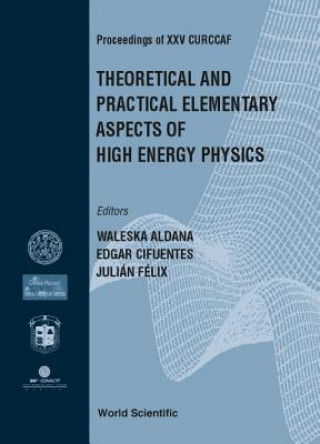 Könyv Theoretical And Practical Elementary Aspects Of High Energy Physics, Procs Of Xxv Curccaf 