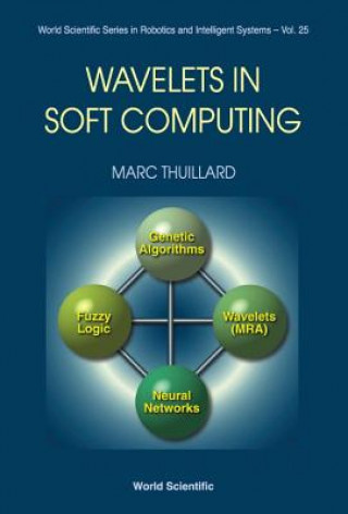 Kniha Wavelets In Soft Computing Marc Thuillard