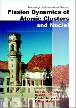 Könyv Fission Dynamics Of Atomic Clusters And Nuclei - Proceedings Of The International Workshop Joao Da Providencia