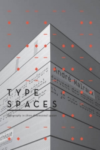 Kniha Type Spaces 