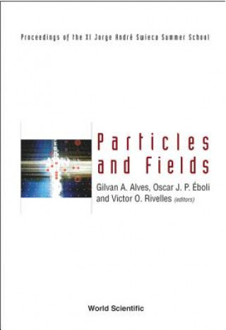 Книга Particles And Fields: Proceedings Of The Xi Jorge Andre Swieca Summer School 