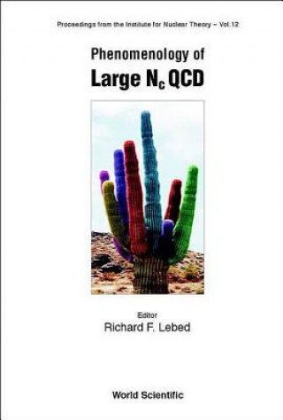 Knjiga Phenomenology Of Large Nc Qcd 