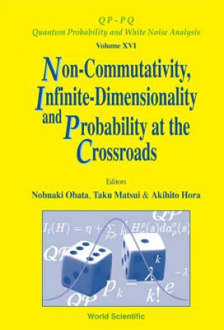 Carte Non-commutativity, Infinite-dimensionality And Probability At The Crossroads, Procs Of The Rims Workshop On Infinite-dimensional Analysis And Quantum 