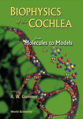 Könyv Biophysics Of The Cochlea: From Molecules To Models - Proceedings Of The International Symposium 