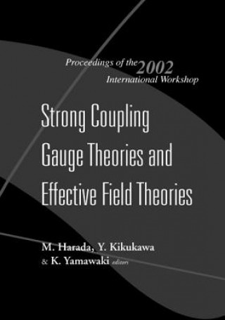 Carte Strong Coupling Gauge Theories And Effective Field Theories, Proceedings Of The 2002 International Workshop 