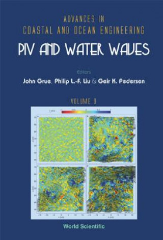 Kniha Piv And Water Waves Liu Philip L F