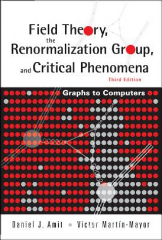 Książka Field Theory, The Renormalization Group, And Critical Phenomena: Graphs To Computers (3rd Edition) Daniel J. Amit